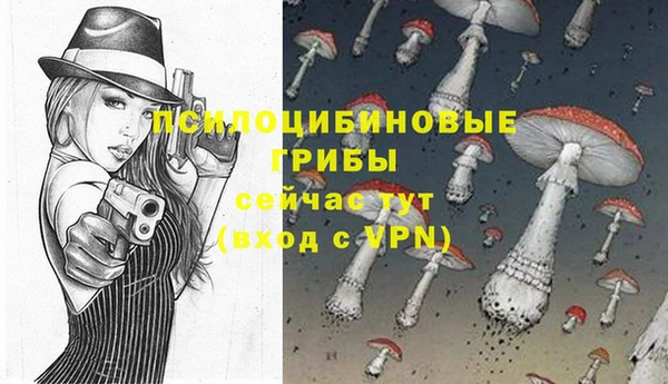 бутират Алзамай