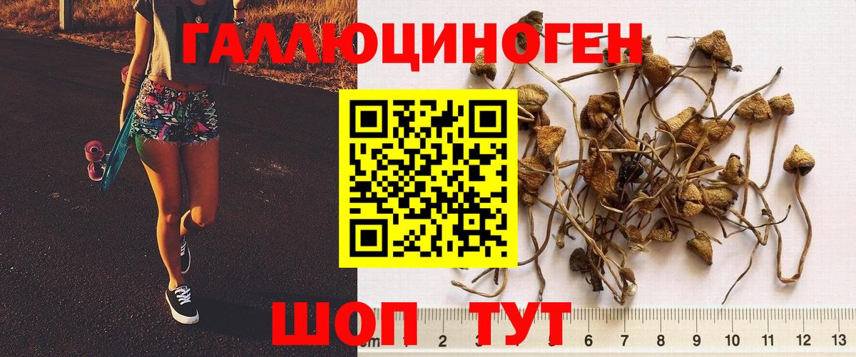 Псилоцибиновые грибы мухоморы Сокол